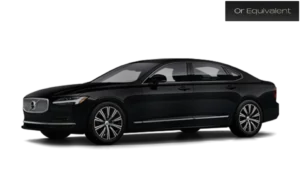 Executive Sedan